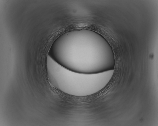 X0000093451441200710120956
