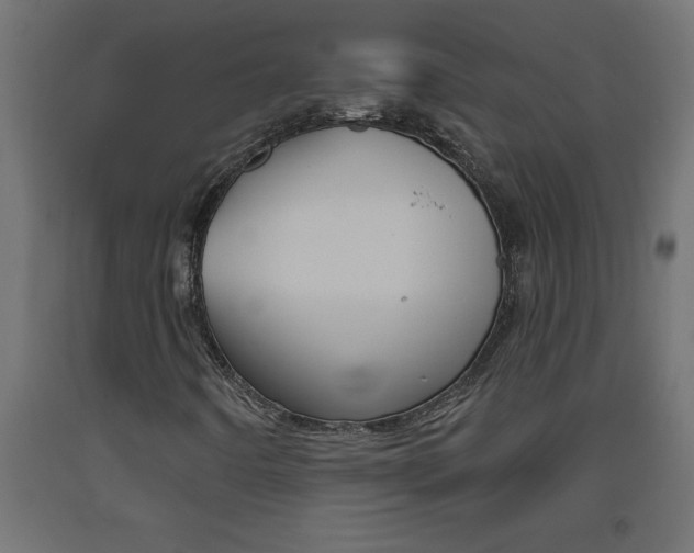 X0000093451442200710120956