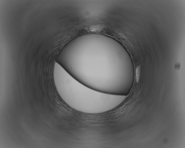 X0000093451443200710120956