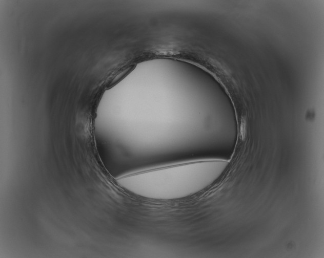 X0000093451444200710120956