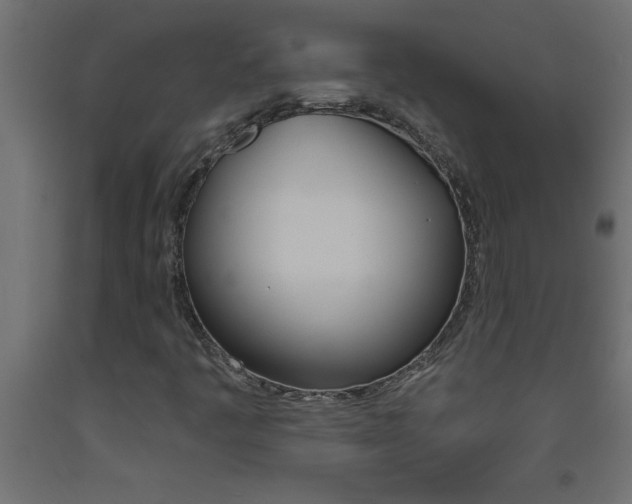 X0000093451445200710120956
