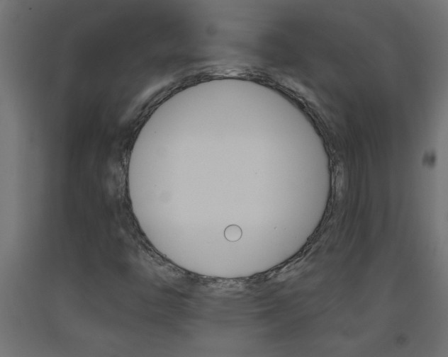 X0000093451446200710120956