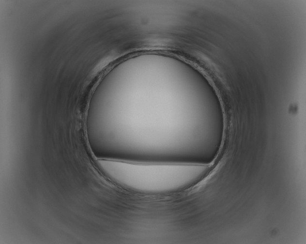 X0000093451449200710120956