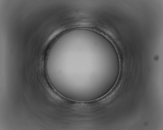 X0000093451450200710120956
