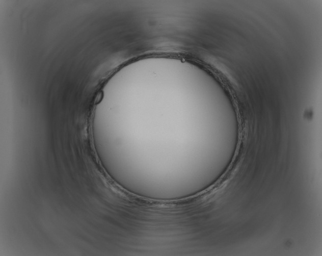 X0000093451451200710120956