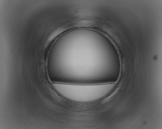 X0000093451453200710120956