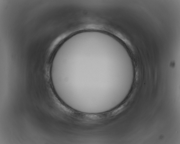 X0000093451454200710120956