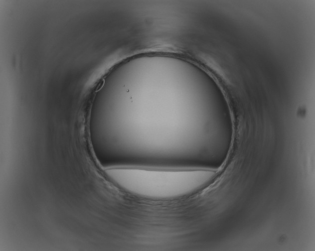 X0000093451455200710120956