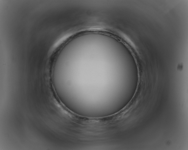 X0000093451456200710120956