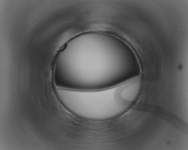 X0000093451459200710120956