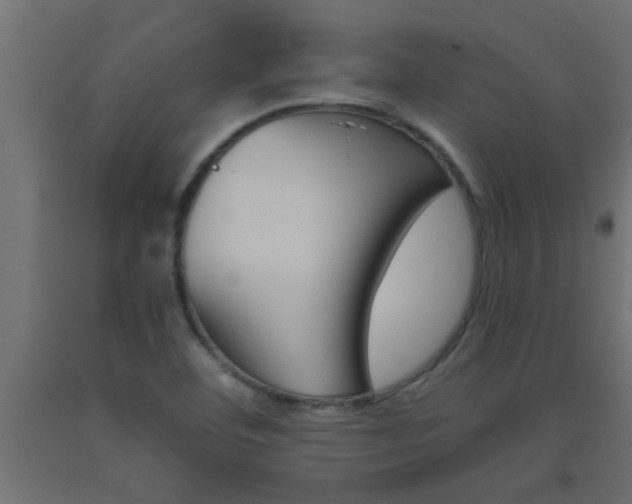 X0000093451460200710120956
