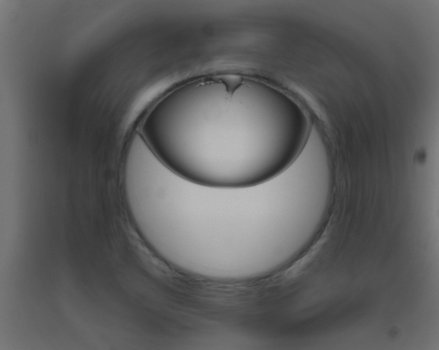 X0000093451461200710120956