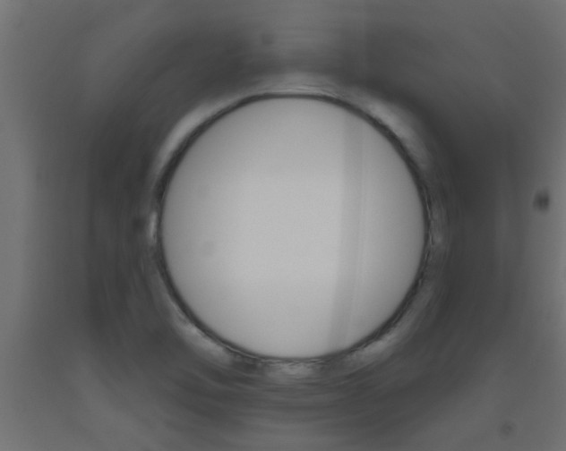 X0000093451462200710120956