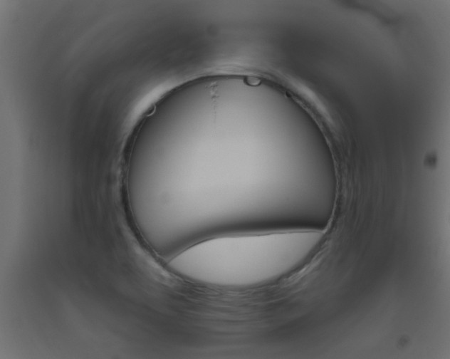 X0000093451463200710120956