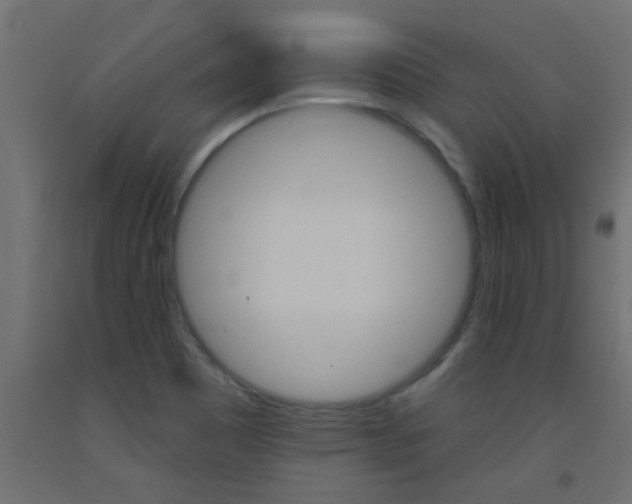 X0000093451465200710120956