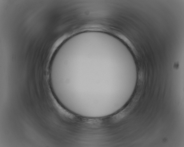 X0000093451466200710120956