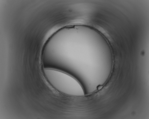 X0000093451469200710120956