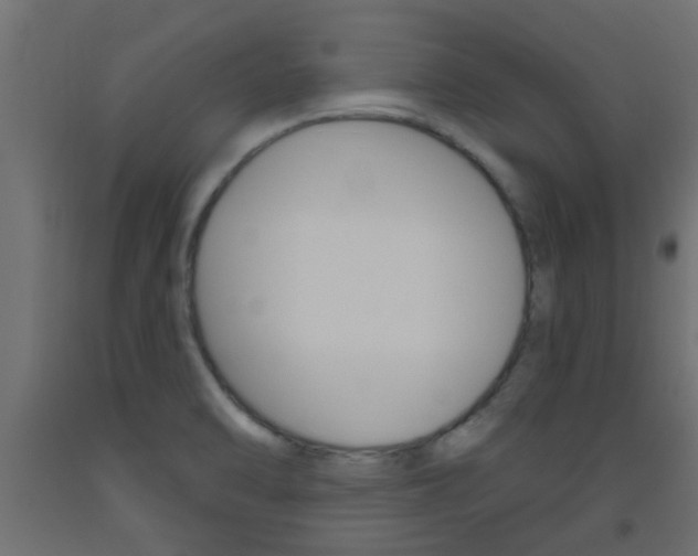 X0000093451470200710120956