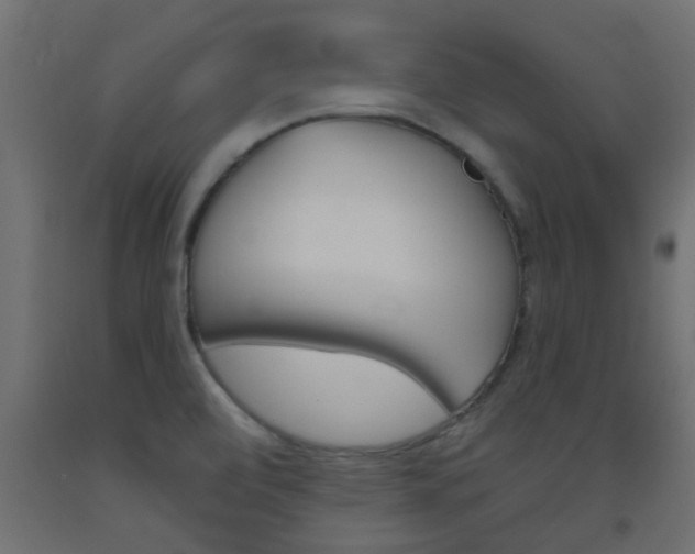 X0000093451472200710120956