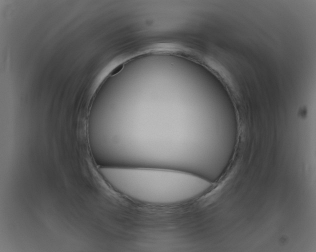 X0000093451473200710120956