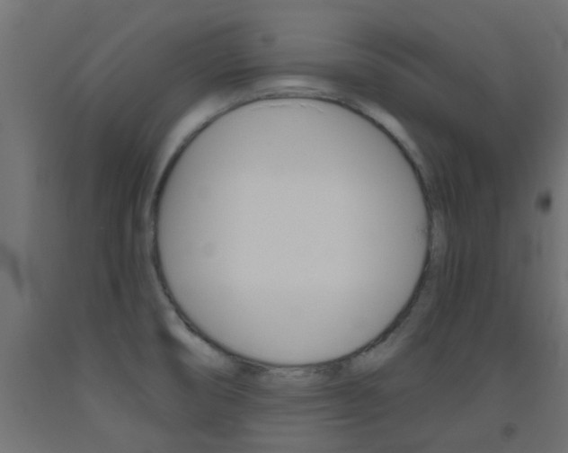 X0000093451474200710120956