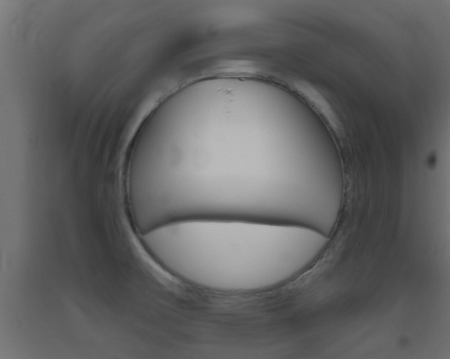 X0000093451475200710120956