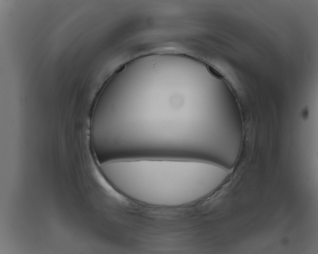 X0000093451476200710120956