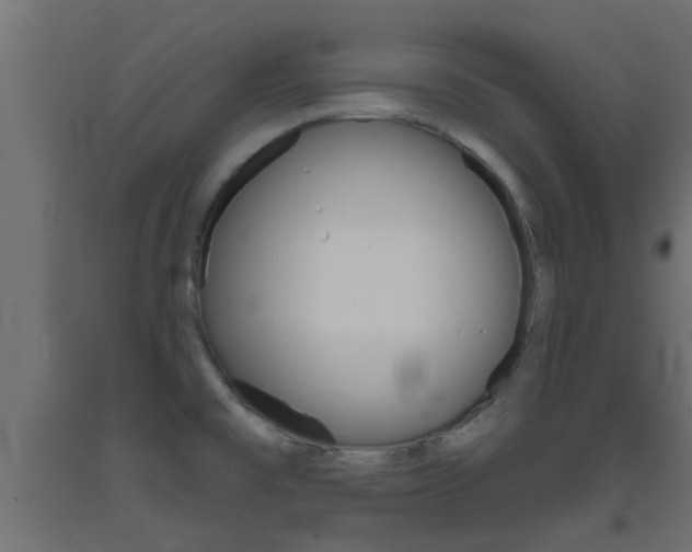 X0000093451477200710120956