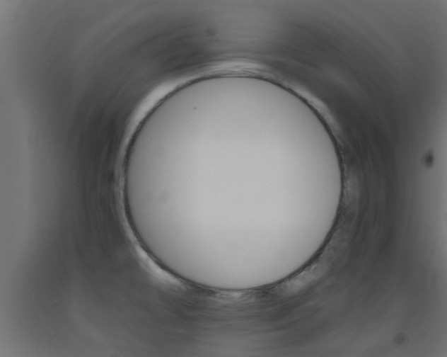 X0000093451478200710120956
