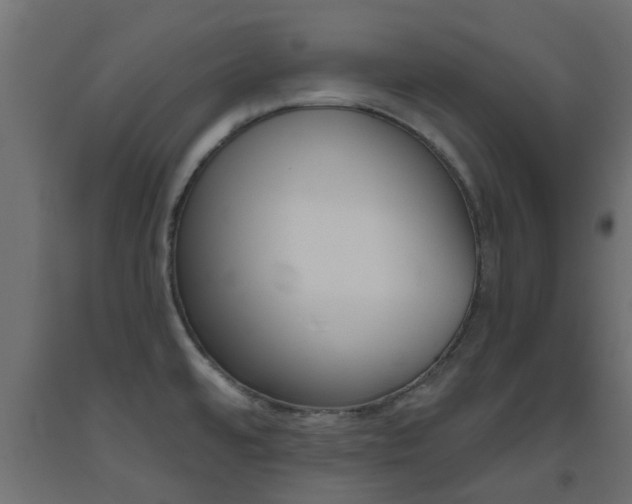 X0000093451480200710120956
