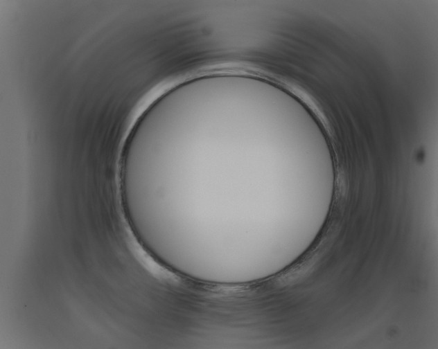 X0000093451482200710120956