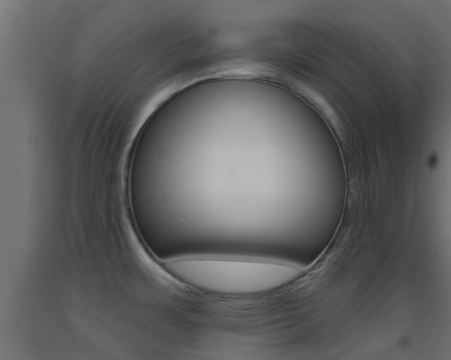 X0000093451483200710120956