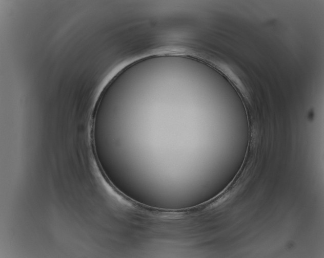 X0000093451484200710120956