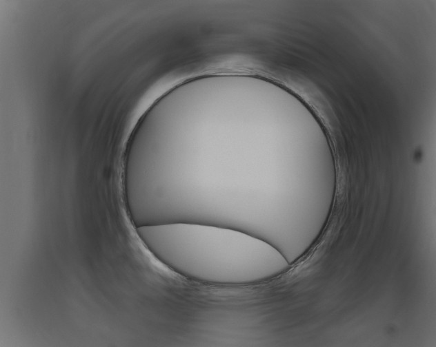 X0000093451486200710120956
