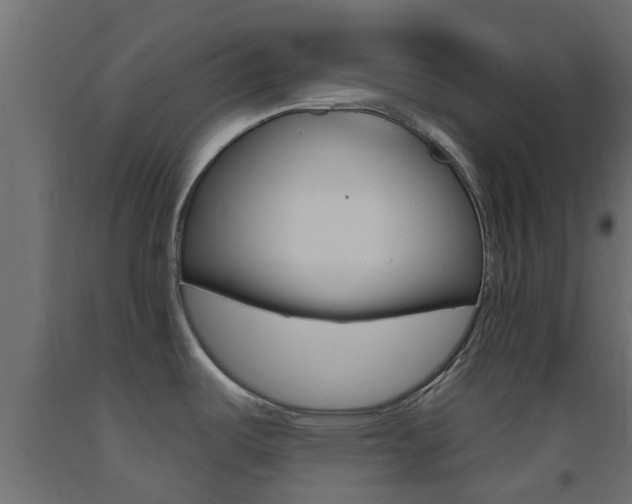 X0000093451487200710120955