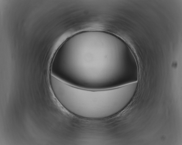 X0000093451488200710120955