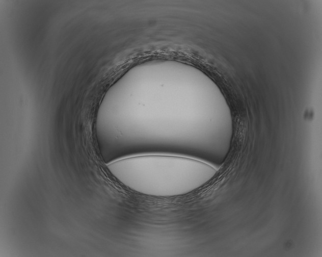 X0000093451489200710120955