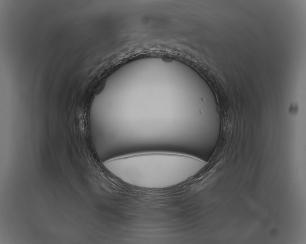 X0000093451490200710120955