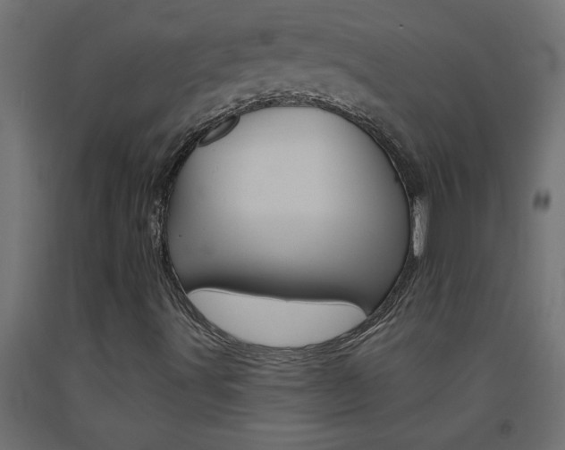 X0000093451491200710120955