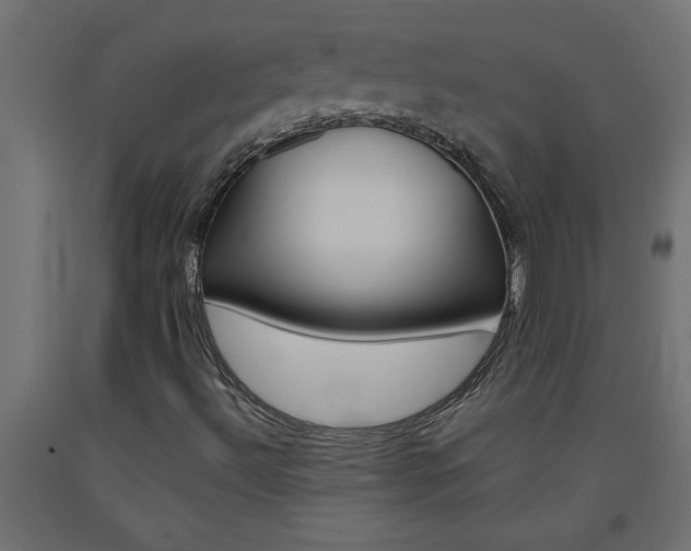 X0000093451492200710120955