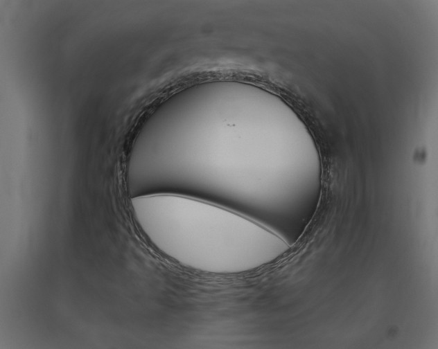 X0000093451493200710120955