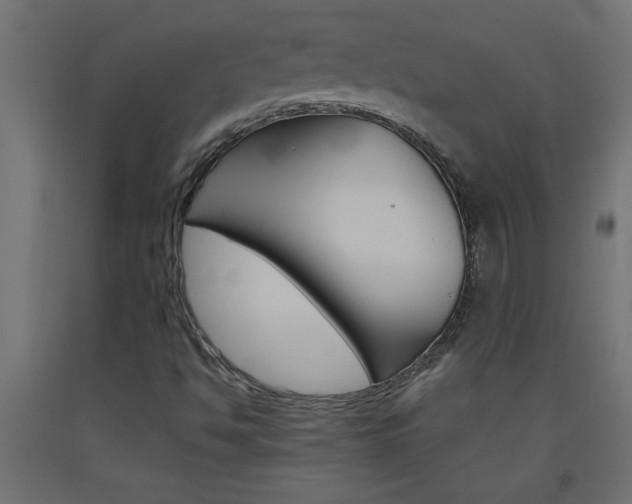 X0000093451494200710120955