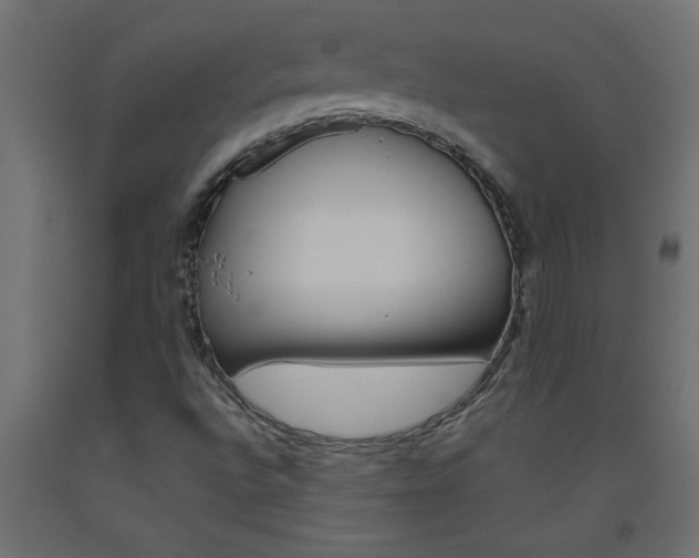 X0000093451496200710120955