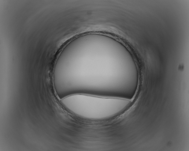 X0000093451497200710120955