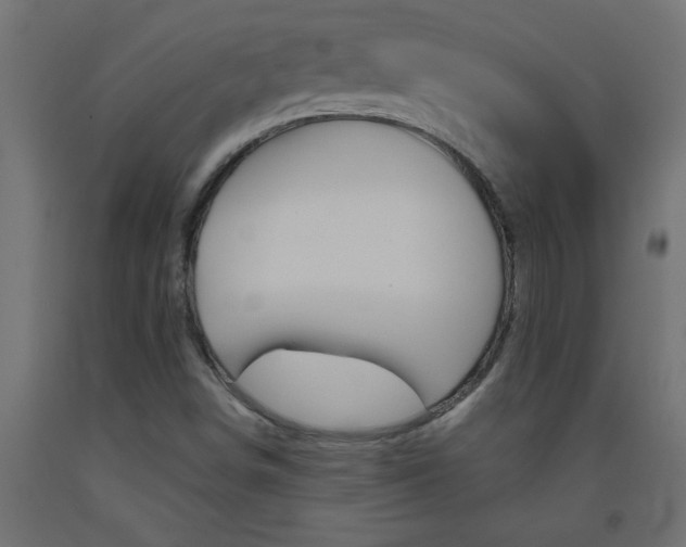 X0000093451498200710120955
