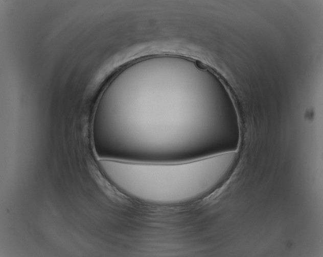 X0000093451499200710120955