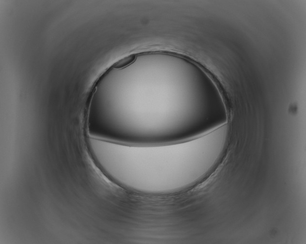X0000093451500200710120955