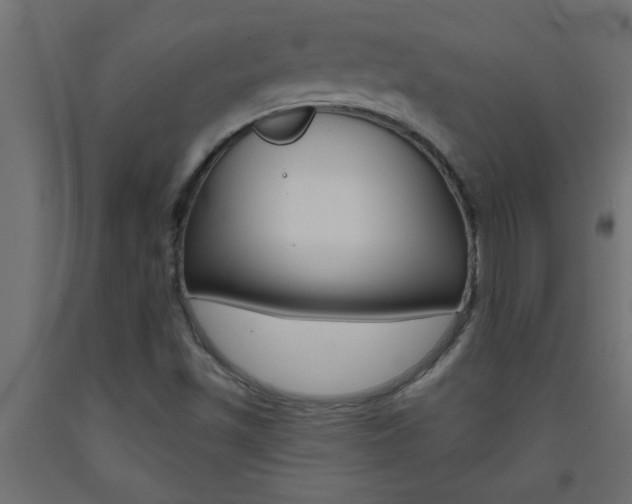 X0000093451501200710120955