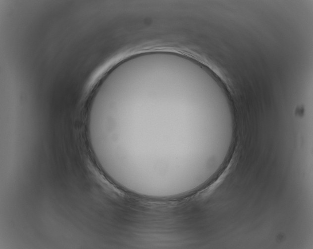X0000093451502200710120955