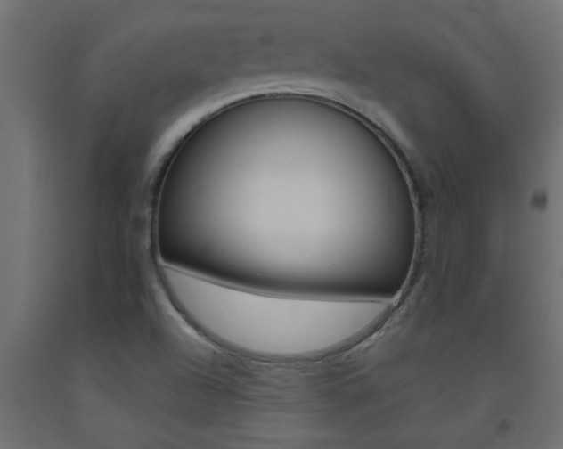 X0000093451504200710120955
